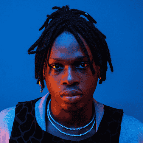 Fireboy DML AI Voice