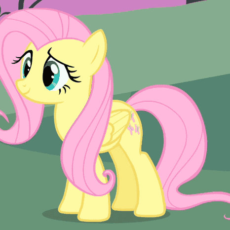 Fluttershy MLP Weights Image