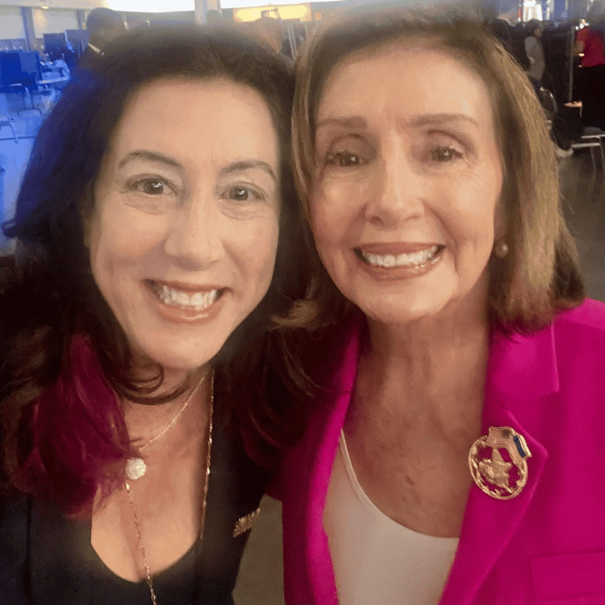 Nancy Pelosi  AI Voice