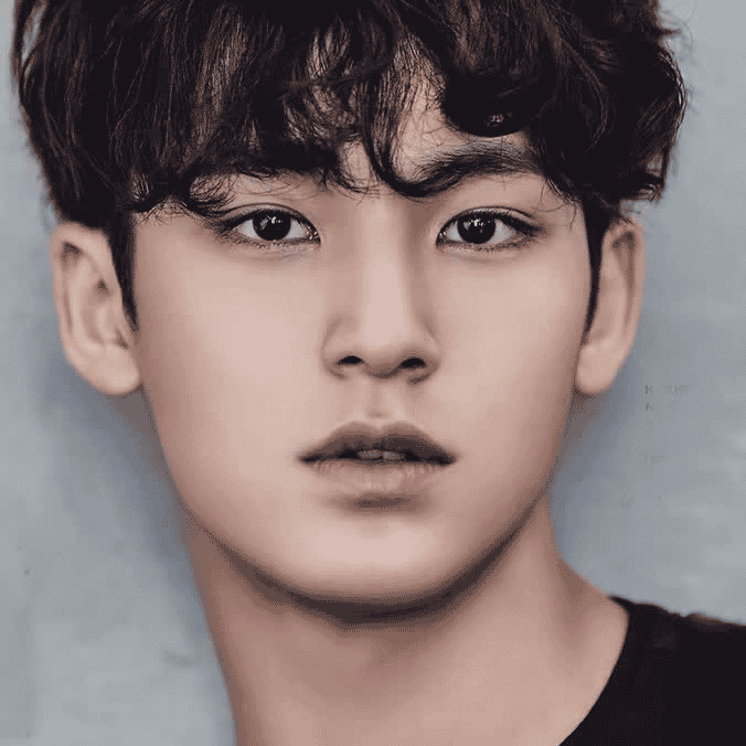 Kim Mingyu Image