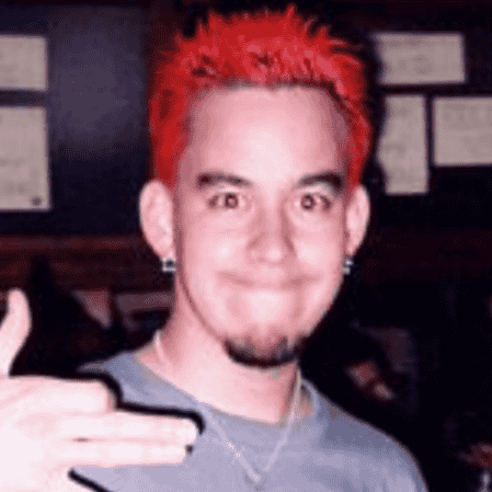 MIKE SHINODA V1 Image