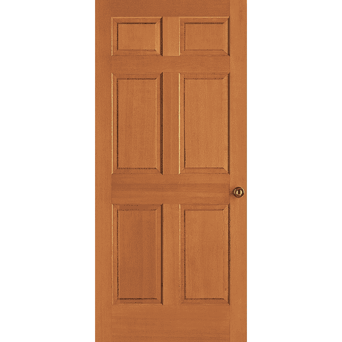 Door AI Voice