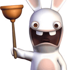 Rabbid Image