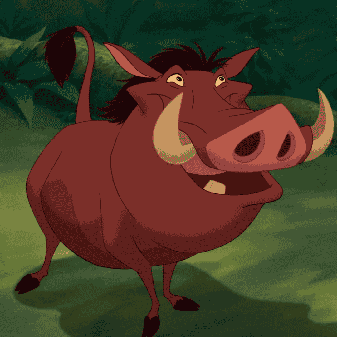 Pumba (Latin Spanish) Image