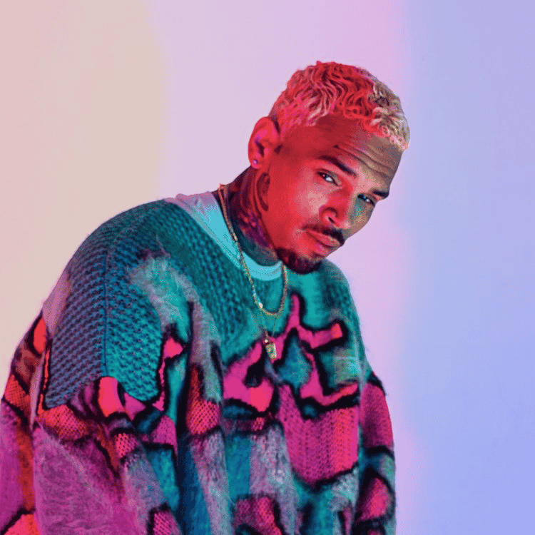 Chris Brown Model Image