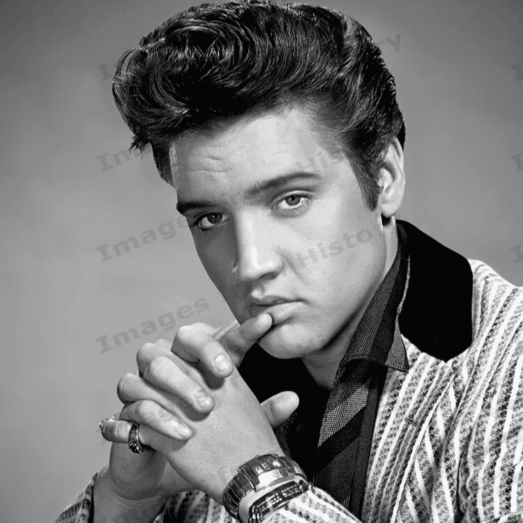 AI Elvis 1960 AI Voice