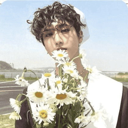 Han Jisung,  Han, Stray Kids Image