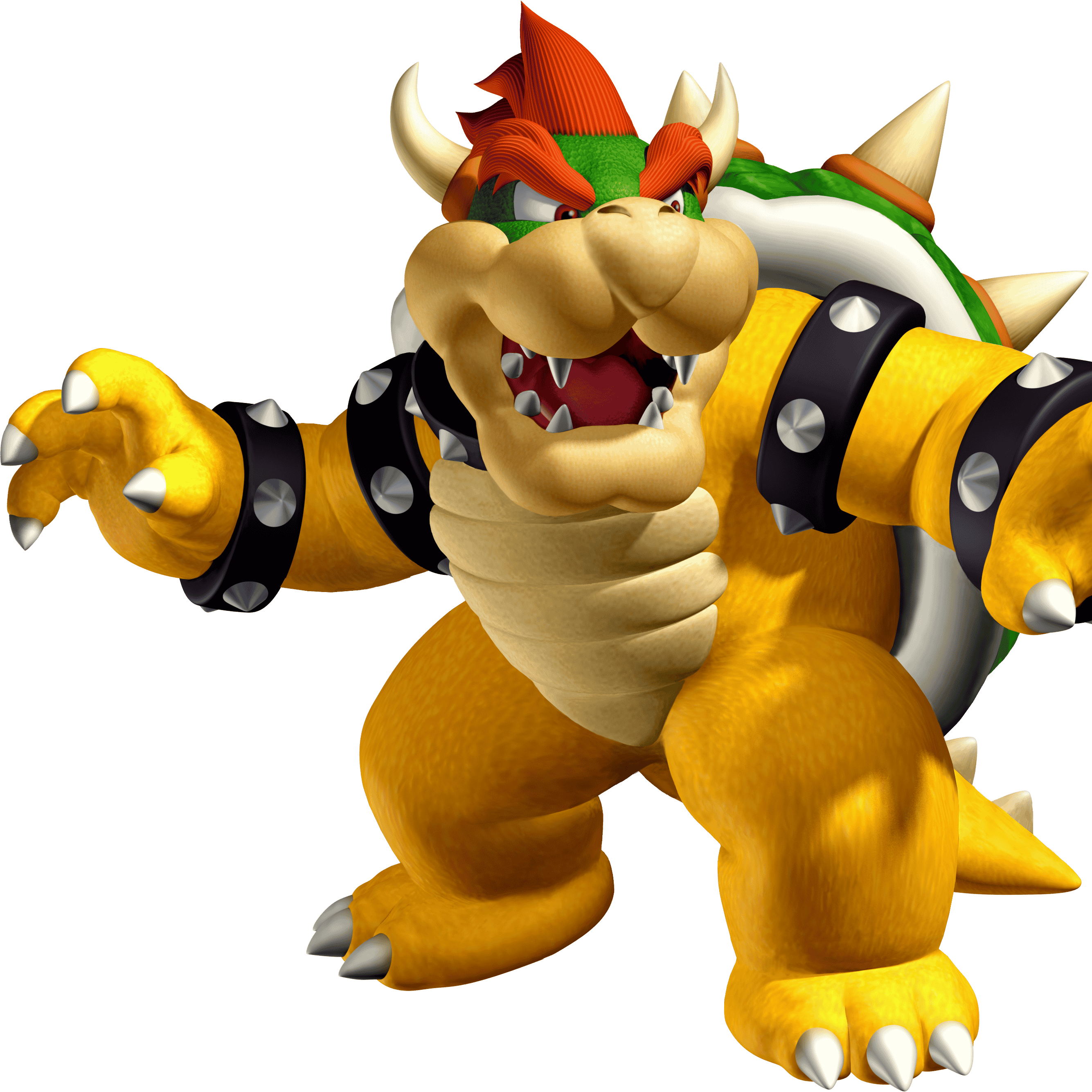 Bowser (Scott Burns) Image