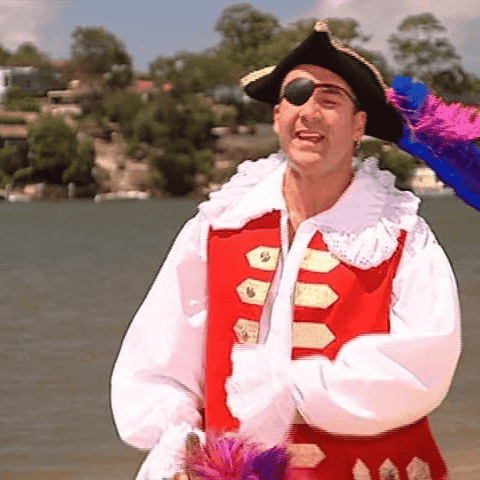 Captain Feathersword - The Wiggles Image