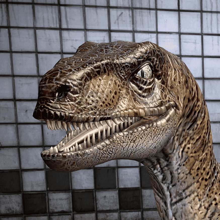 Velociraptor Image