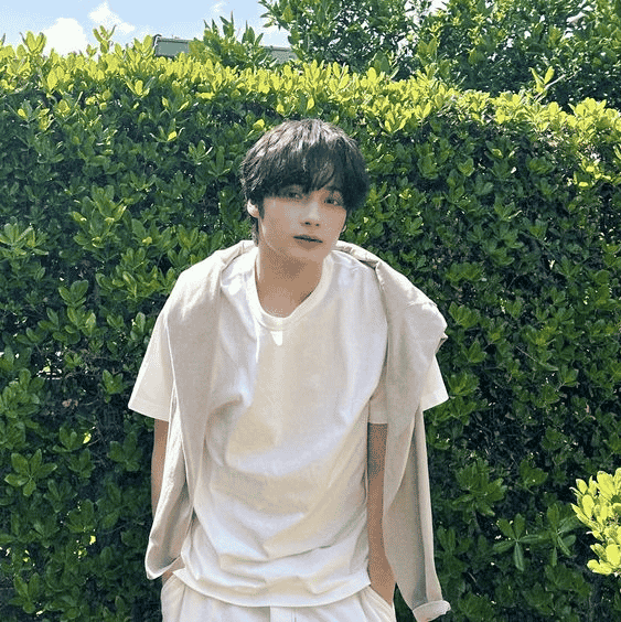 KAI TXT Image