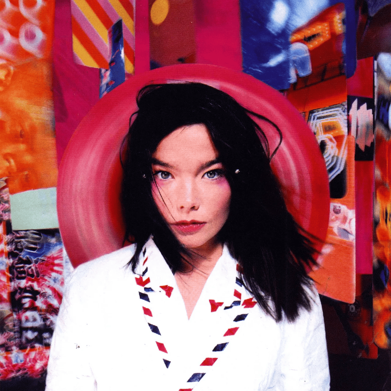 Björk Image