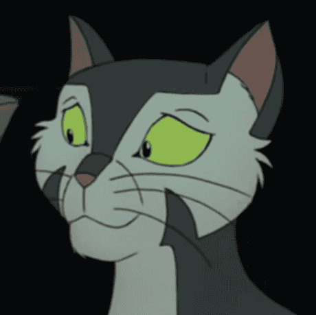 Francis (Felidae) Image