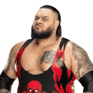 Bronson Reed  AI Voice
