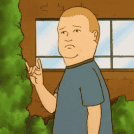 Bobby Hill (King Of The Hill) Image