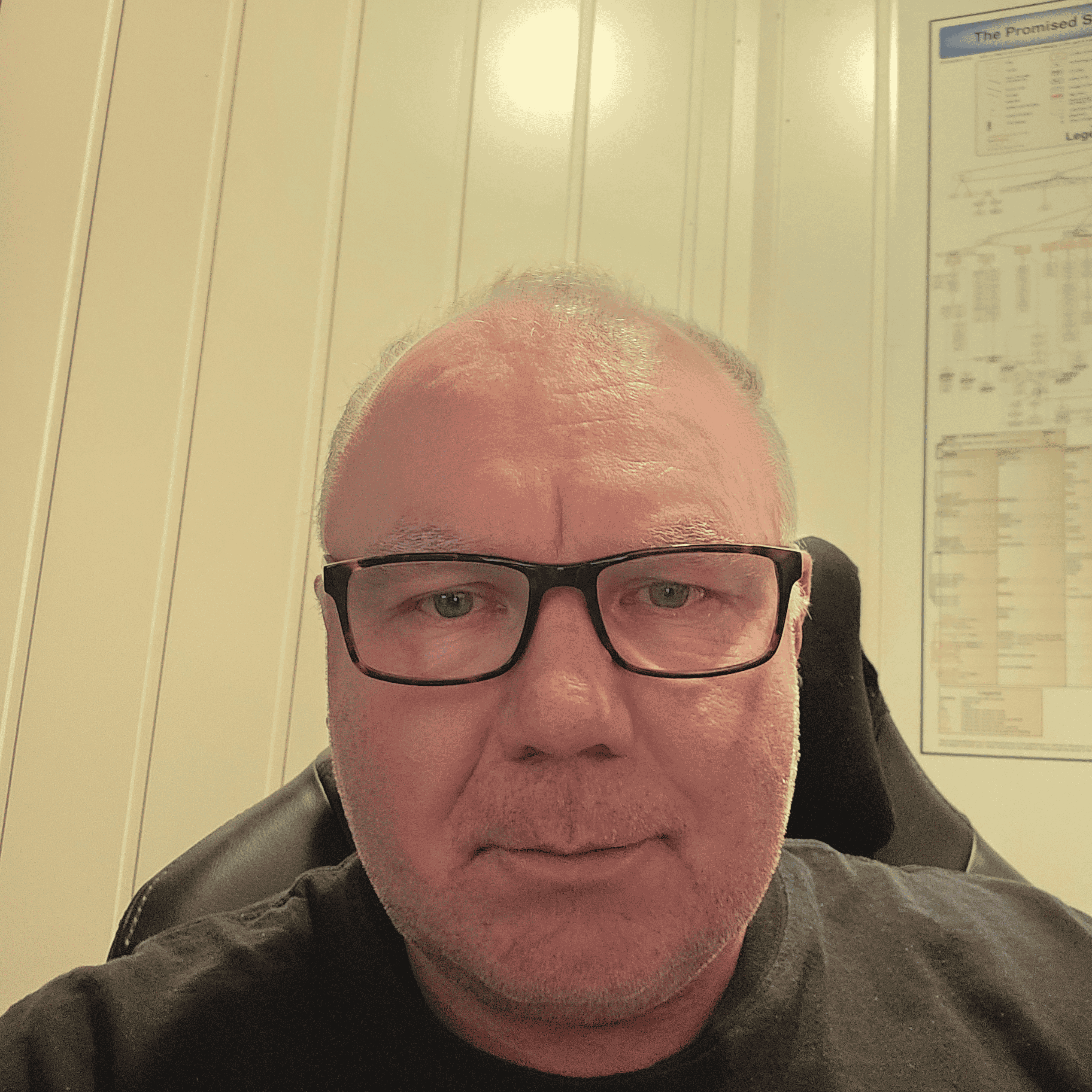 Stein sin stemme AI Voice