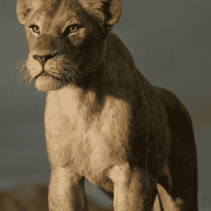 Adult Nala {The Lion King 2019} AI Voice