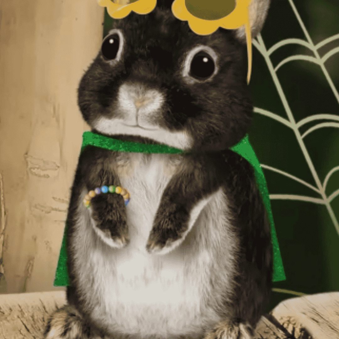 Zuri (Wonder Pets in the city) AI Voice