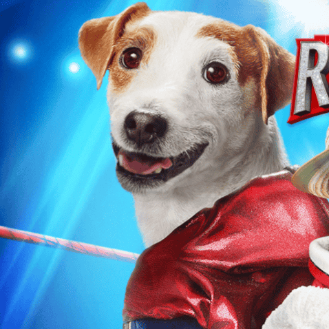 AI Russell (Russell madness) Image