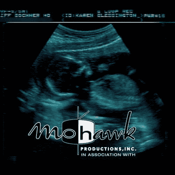 Mohawk Productions Inc Logo AI Voice