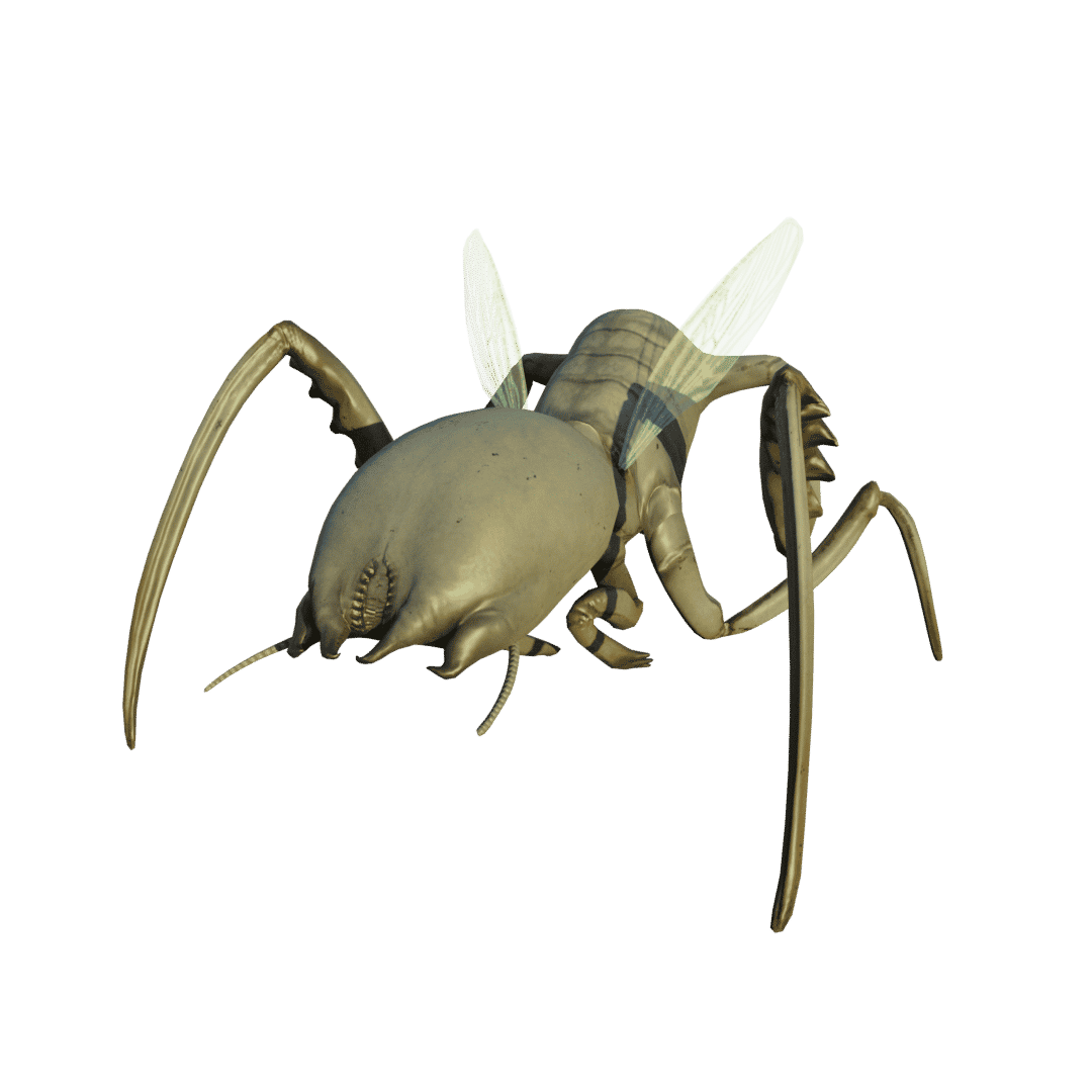 antlion worker HL2:EP2 Image