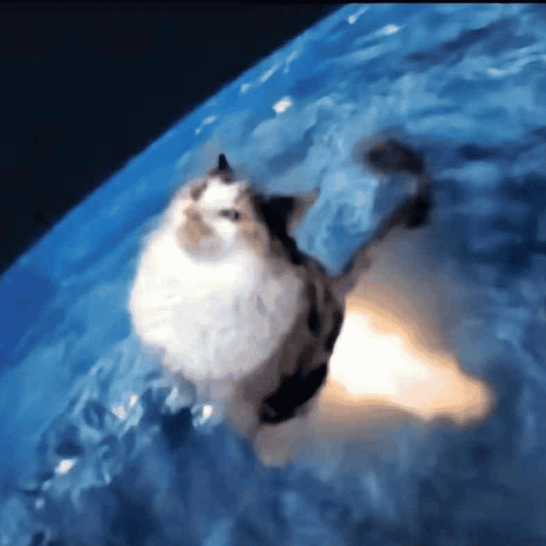 All mashup yes yes Image