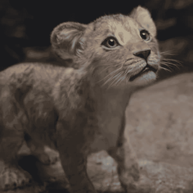Kiara {Mufasa: The Lion King} AI Voice