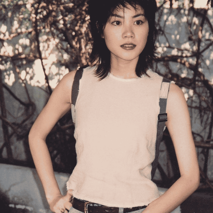 Faye Wong AI Voice