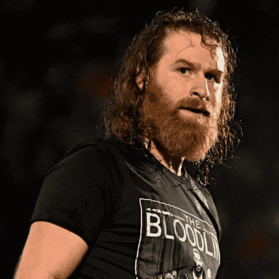 Sami Zayn (WWE)  Image