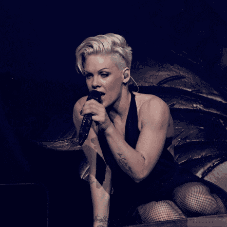 P!nk (The Truth About Love Era) Image