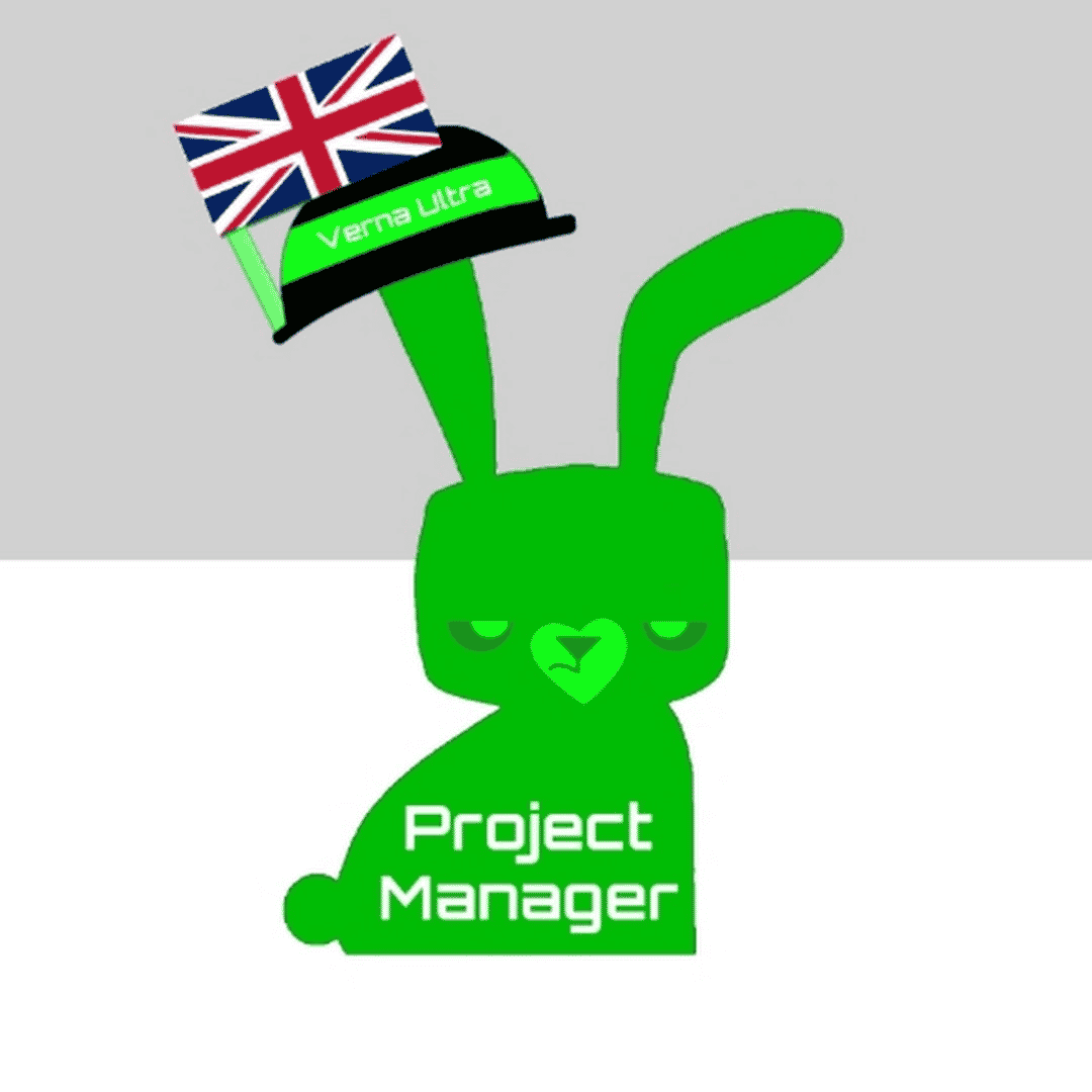 Project Manager Image