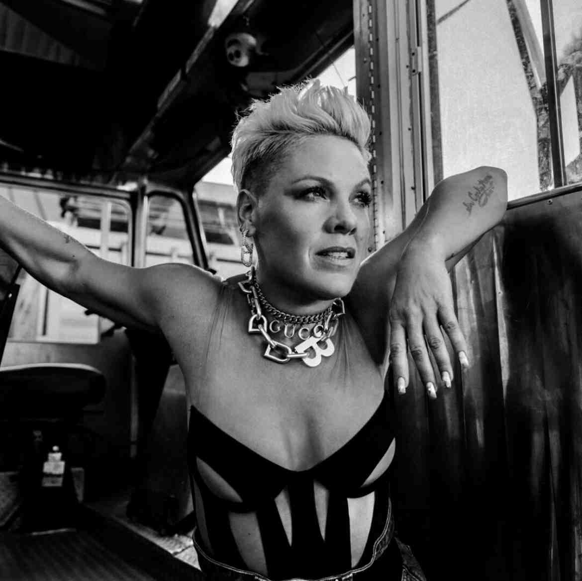P!nk (Post-2017) Image