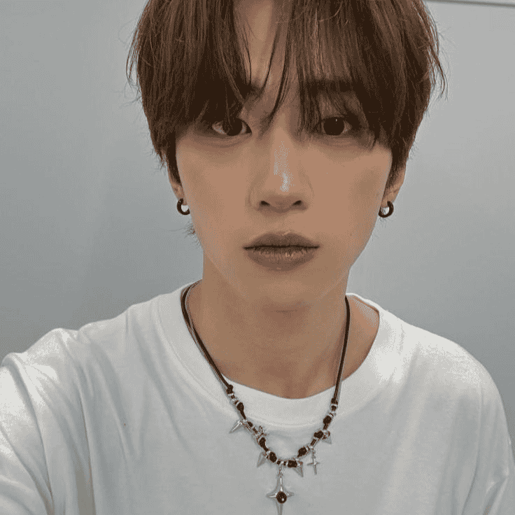 Fengfan AI Voice