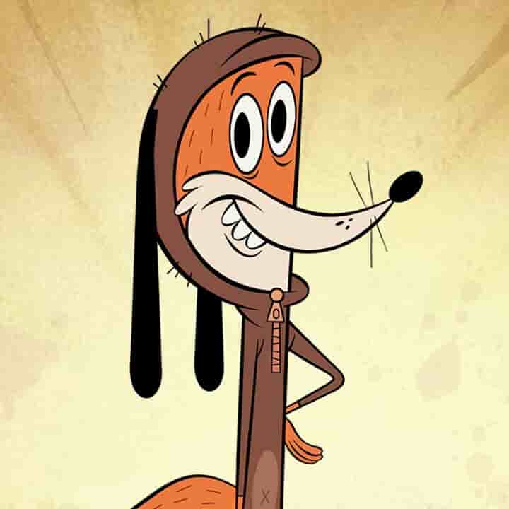 Washington The Fox Image