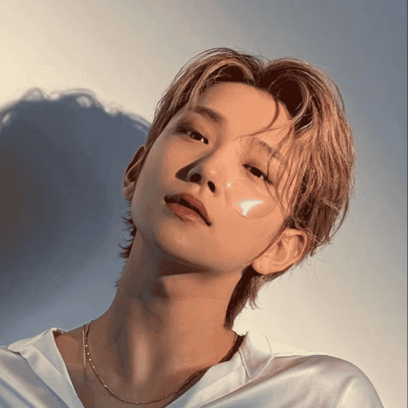 Joshua Seventeen Hong Jisoo SVT Image
