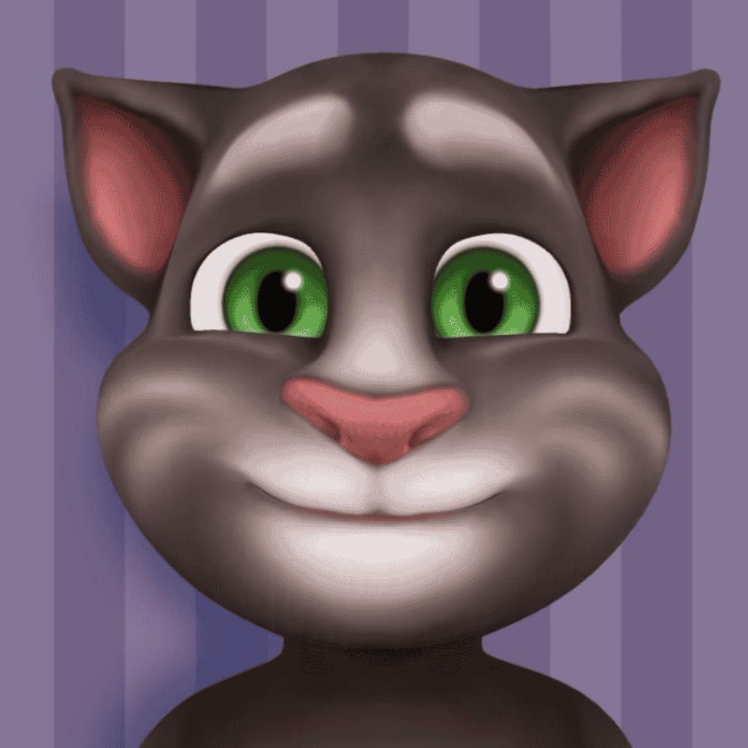 Talking Tom (2013-Early 2014 Channel) Image