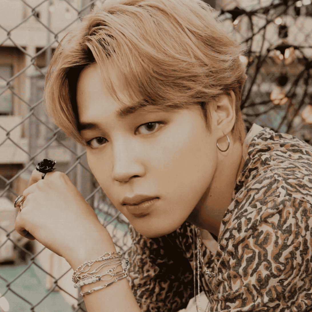 JIMIN 2 Image