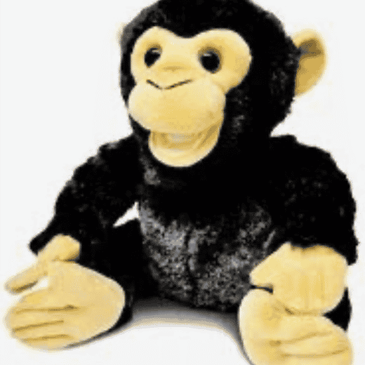 Coco the chimpanzee (Cuddle Barn) AI Voice