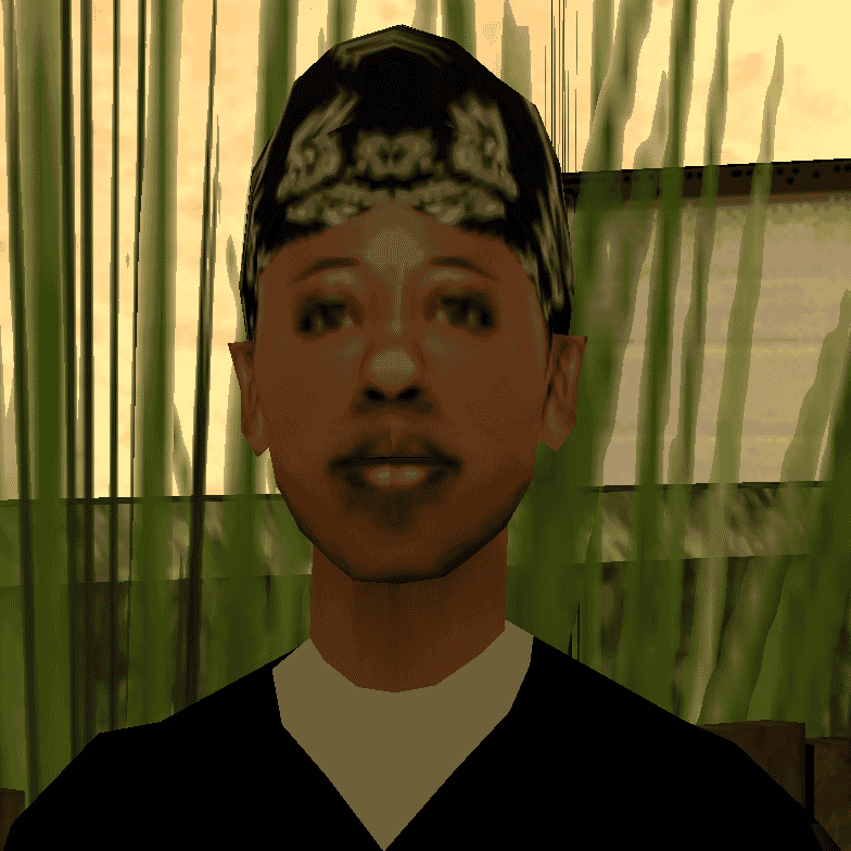 Denise Robinson GTA San Andreas  Image