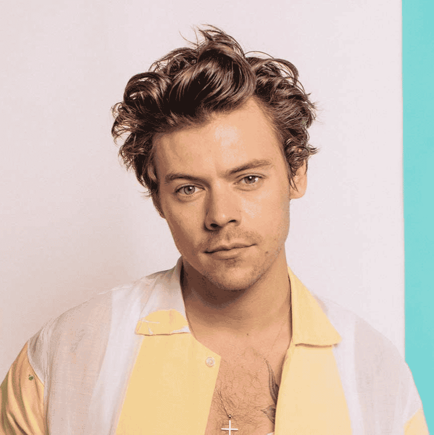 Harry Styles  AI Voice