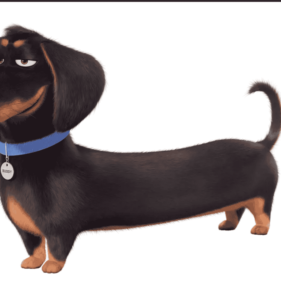 Buddy (The Secret Life Of Pets) AI Voice
