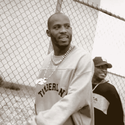 DMX  Image