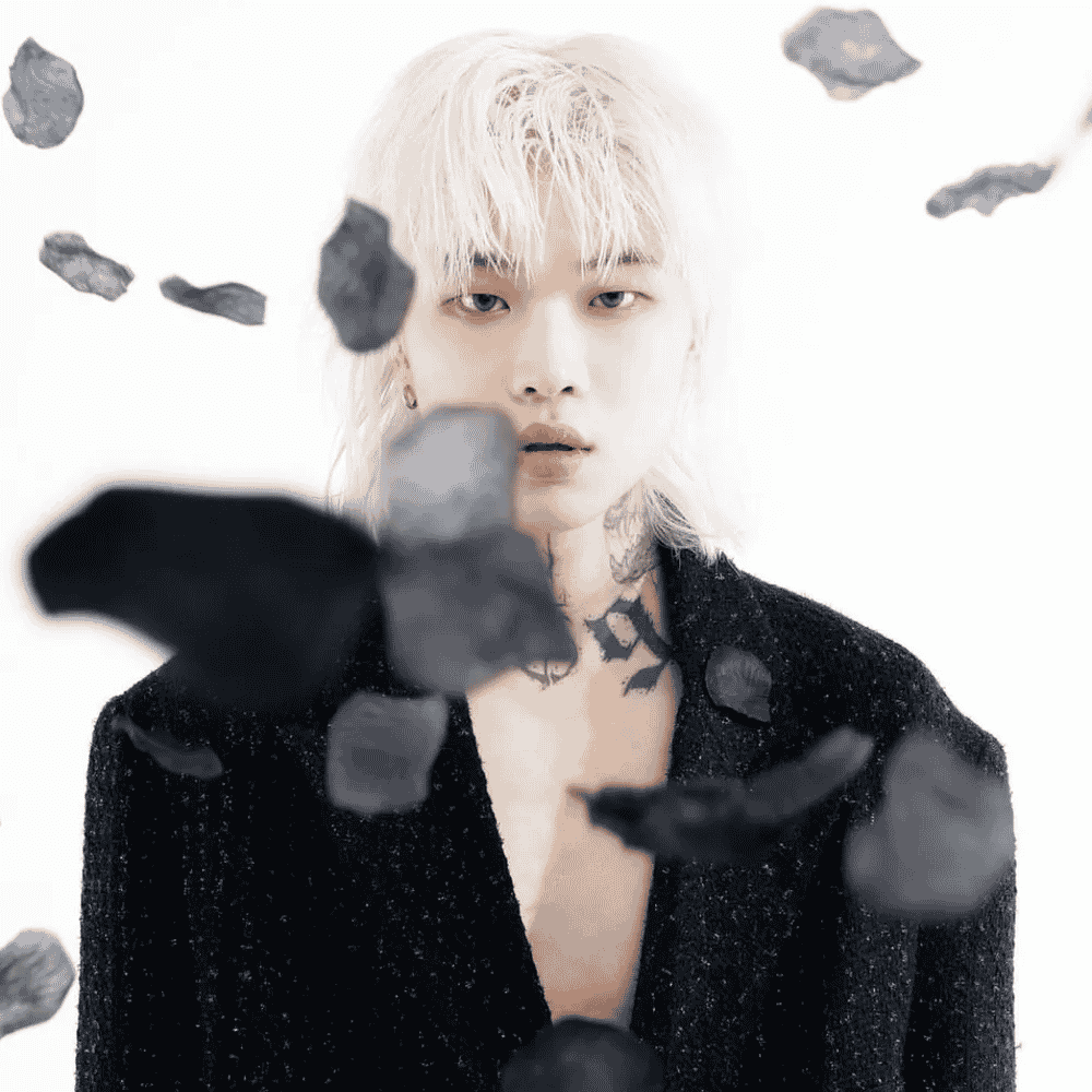 ASH ISLAND (애쉬 아일랜드) AI Voice
