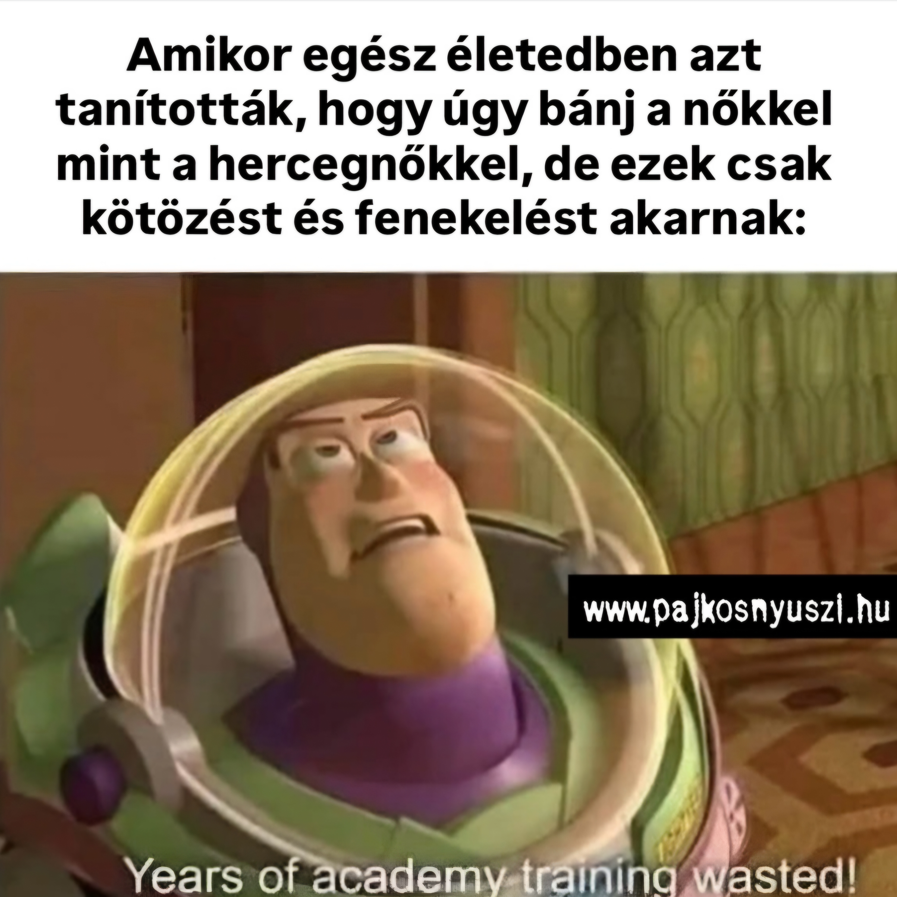 Proba fasz kivan AI Voice