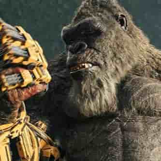 Kong (Monsterverse - 2021/2024 ) Image