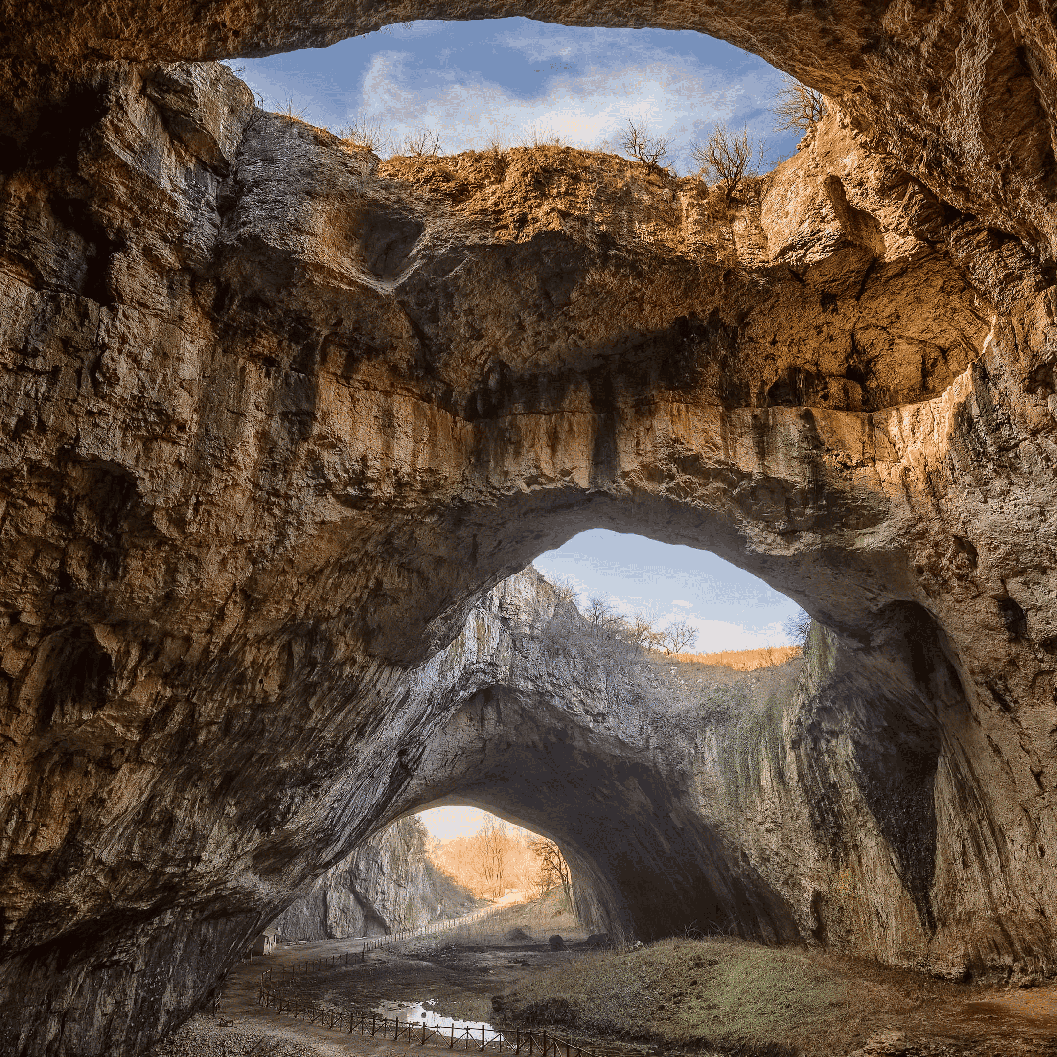 like him - by gino Image