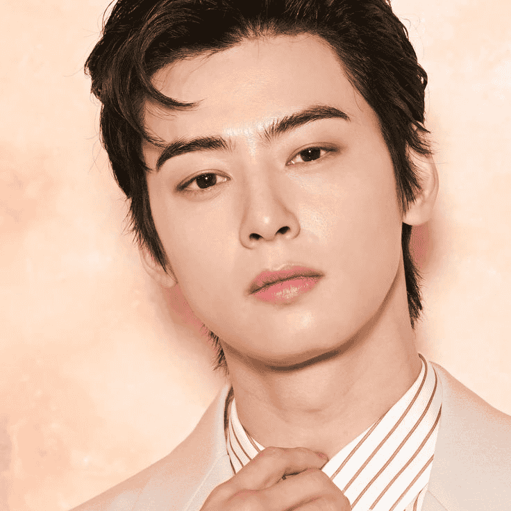 CHA EUN WOO (ASTRO) AI Voice