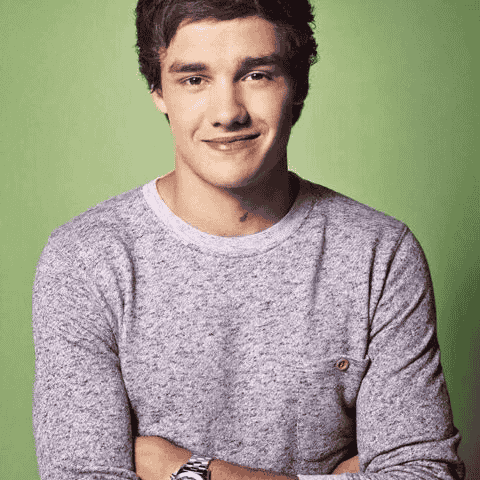 Liam Payne (2012) AI Voice