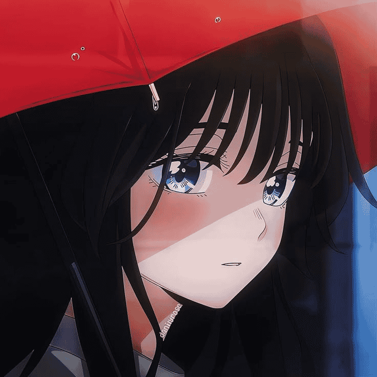 Aimer Image