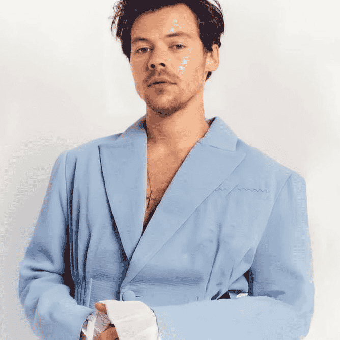 Harry Styles  AI Voice